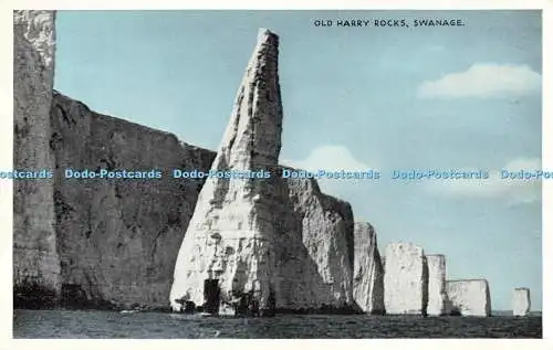 R194926 Old Harry Rocks Swanage Dennis