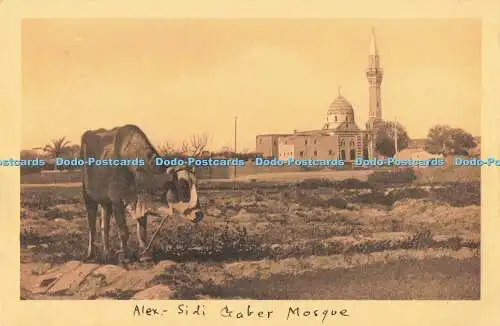 R194934 Alexandria Sidi Gaber Moschee L C 79 Ägypten