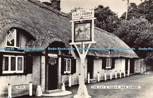 R193475 1975 The Cat and Fiddle New Forest Dearden and Wade Sunny South RP