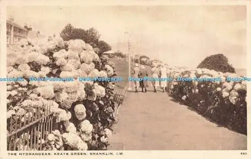 R197550 The Hortensia Keats Green Shanklin I W The Bay Serie lokaler Ansichten De