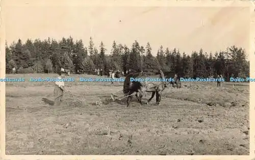 R197686 Pferd Menschen Arbeit arbeiten alte Fotografie Postkarte VEF