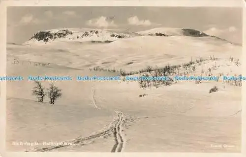 R198915 Geilo hogda Hallingskarvet Eneret Grovo