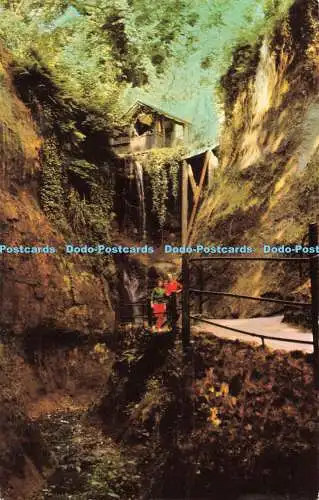 R196497 Shanklin Chine I W The Bay Series G Dean 1967