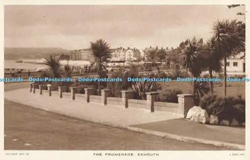 R199106 The Promenade Exmouth Tuck