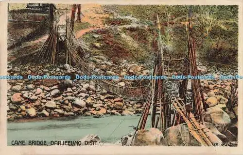 R197937 Cane Bridge Darjeeling Distt