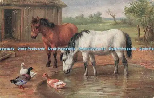 R199155 Ponys Enten Gemälde Lachs 1949