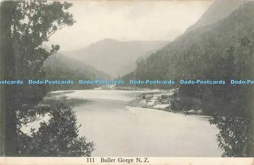 R199184 111 Buller Gorge N Z J Ring