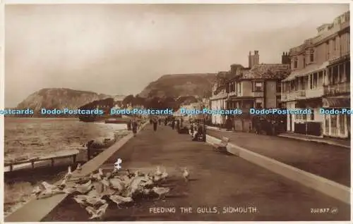 R199253 Feeding the Gulls Sidmouth 202837 Valentines RP