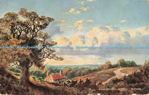 R200810 Lamberhurst Sussex Niemann S Hildesheimer No 5312 1905