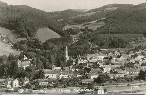 PC31677 Sommerfrische Aspang. Niederdonau. Franz Schneidhofer. Nr 1688. 1942