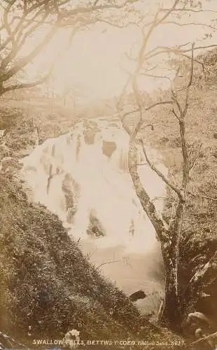 PC60203 Swallow Falls. Betts Y Coed. Poulton. 1909