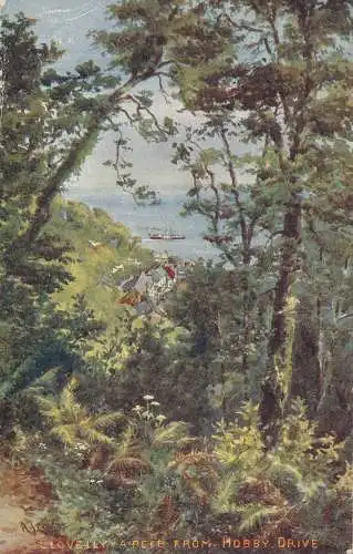 PC59496 Clovelly. Ein Pieps von Hobby Drive. Zierlich. 1905