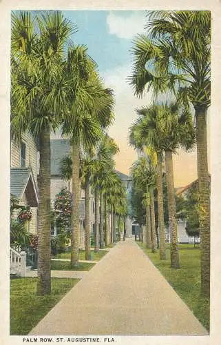 PC52901 Palm Row. Hl. Augustinus. Fla. W. J. Harris