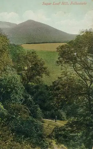 PC60932 Sugar Loaf Hill. Folkestone. Valentine