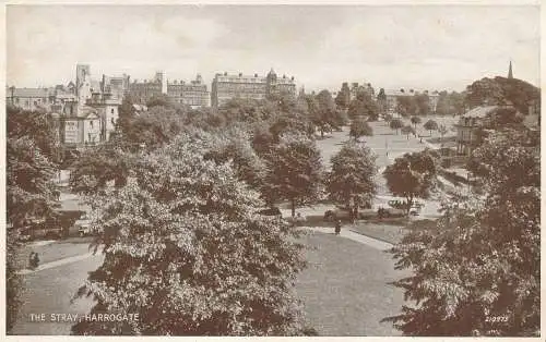 PC60642 The Stray. Harrogate. Valentinstag. Foto braun. Nr 210973