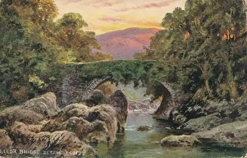 PC60322 LLEDR-Brücke. Betts Y Coed. Hildesheimer. 1905