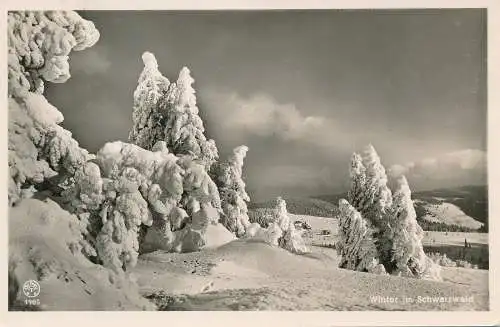 PC53267 Winter im Schwarzwald. RP. B. Hopkins