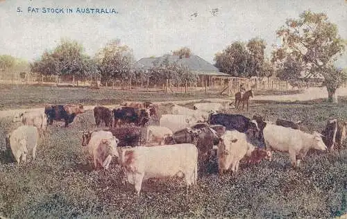 PC53249 Fettbestand in Australien. Basteln. B. Hopkins