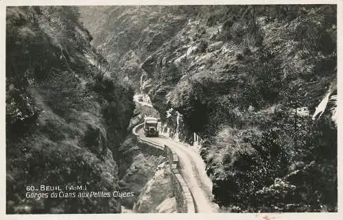 PC52482 Beuil. Gorges du Cians aux Petites Cluees. Olivier. Nr 60