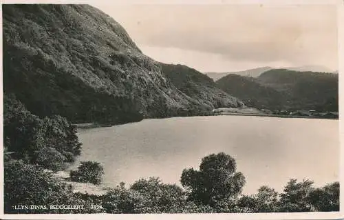 PC55115 Llyn Dinas. Beddgelert. Lachs. RP