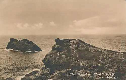 PC55213 Meachard und Profile Rock. Boscastle