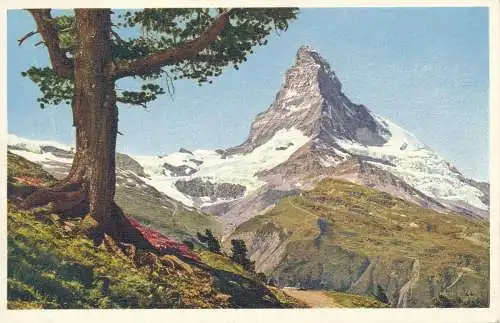 PC53036 Riffelalp. Matterhorn. Stehli. Nr 1011