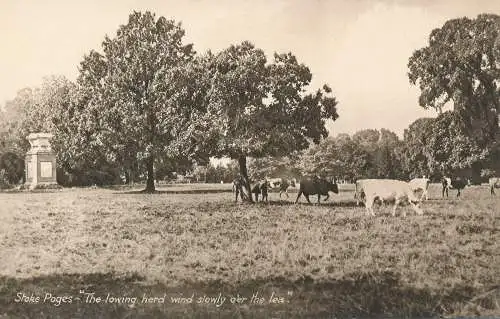 PC55292 Stoke Poges. Die sich senkende Herde Wind langsam über die Leine