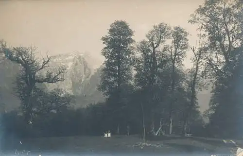 PC53116 Alte Postkarte. Wald und Berg. J. B. Rottmayer