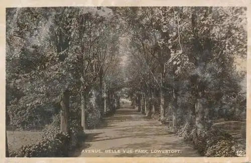 PC60654 Avenue. Belle Vue Park. Lowestoft. RP. 1928