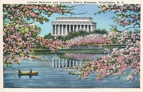PC52517 Lincoln Memorial und japanische Kirschblüten. Washington. D.C.B.S.R