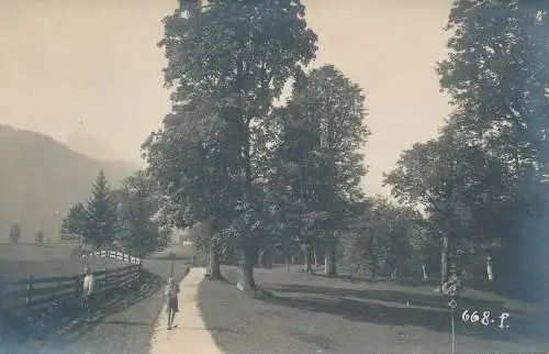 PC53118 Alte Postkarte. Wald und Berg. J. B. Rottmayer