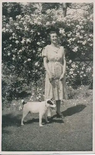 PC59524 Altes Foto. Frau mit Hund im Garten. Jerome Ltd