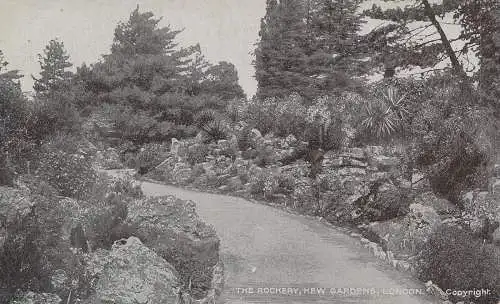 PC61079 The Rockery. Kew Gardens. London. G.D. und D. Der Stern