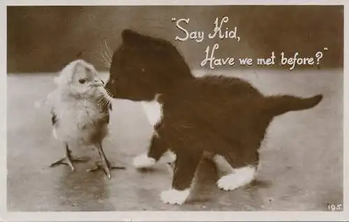 PC63250 Say Kid. Haben wir uns schon einmal getroffen. Kätzchen und Küken. RP. 1930