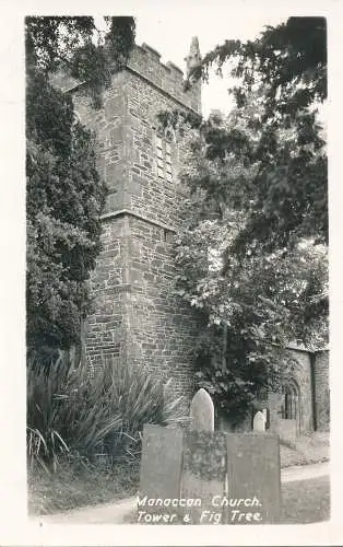 PC75754 Manakkanischer Kirchturm und Feigenbaum