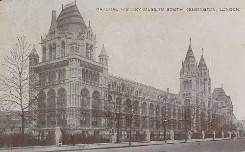 PC75452 Natural History Museum South Kensington. London. G. D. und D. L. The Sta