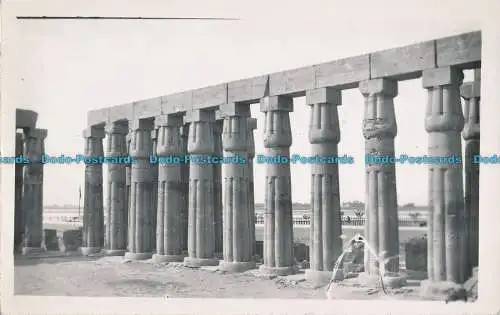 R004947 Luxor. Die Papyrusfarben von Amenophis III. Gaddis