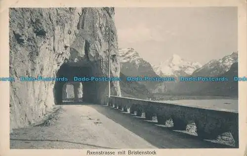 R005782 Axenstraße mit Bristenstock. E. Synnberg und R. v. Pfyffer