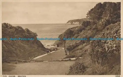 R006782 The Chine. Seaton. Lachs. Tiefdruck. Nr 12545