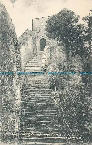 R006039 The Keep Steps. Carisbrooke Castle. I. von W. T. Pipper