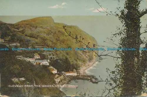 R007154 Clovelly aus dem Wald. Hobby Drive