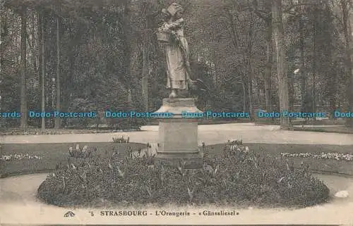 R009220 Straßburg. L Orangerie. Ganseliesel. 1925