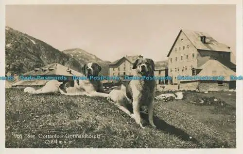 R008444 San Gottardo. Gotthardhospiz. A. Borelli. Nr 966