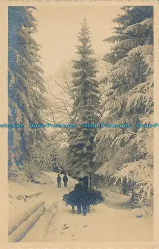 R010731 Gezahlter Hiver. Winterlandschaft. Fototypie. Nr 9344. B. Hopkins