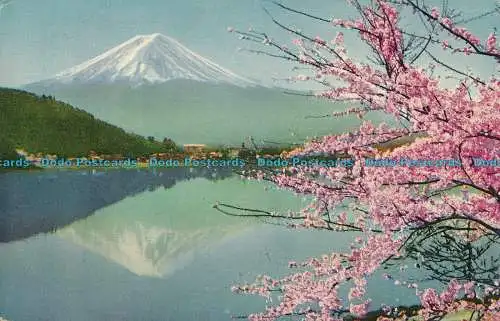 R009752 Frühling am Lake Kawaguchi