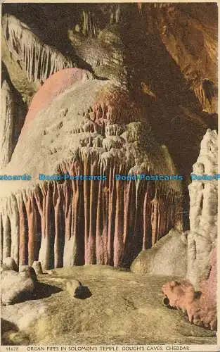 R013799 Orgelpfeifen im Salomons Temple. Goughs Caves. Cheddar