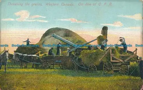 R014072 Dreschen der Körner. Westkanada. Auf Linie von C. P. R. B. Hopkins