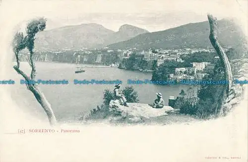 R014507 Sorrent. Panorama. Richter. B. Hopkins