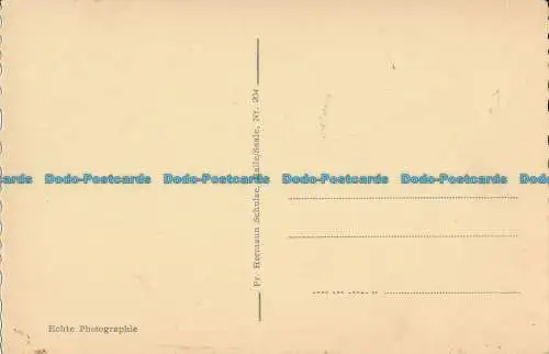 R015706 Halle a.S. Saalepromenade. Lehmanns Felsen. Hermann. RP