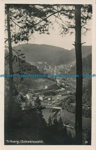 R016466 Triberg. Schwarzwald. Gustav Carle